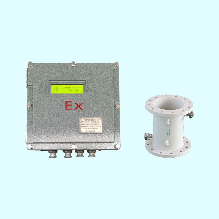 防爆管段式超聲波流量計BT6